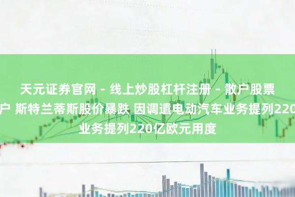 天元证券官网 - 线上炒股杠杆注册 - 散户股票如何配资开户 斯特兰蒂斯股价暴跌 因调遣电动汽车业务提列220亿欧元用度