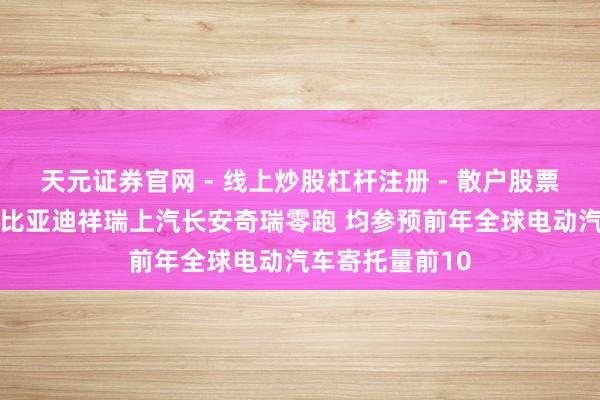天元证券官网 - 线上炒股杠杆注册 - 散户股票如何配资开户 比亚迪祥瑞上汽长安奇瑞零跑 均参预前年全球电动汽车寄托量前10